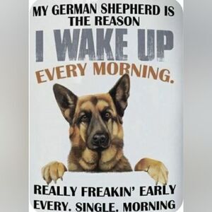 2, Felt Air freshener